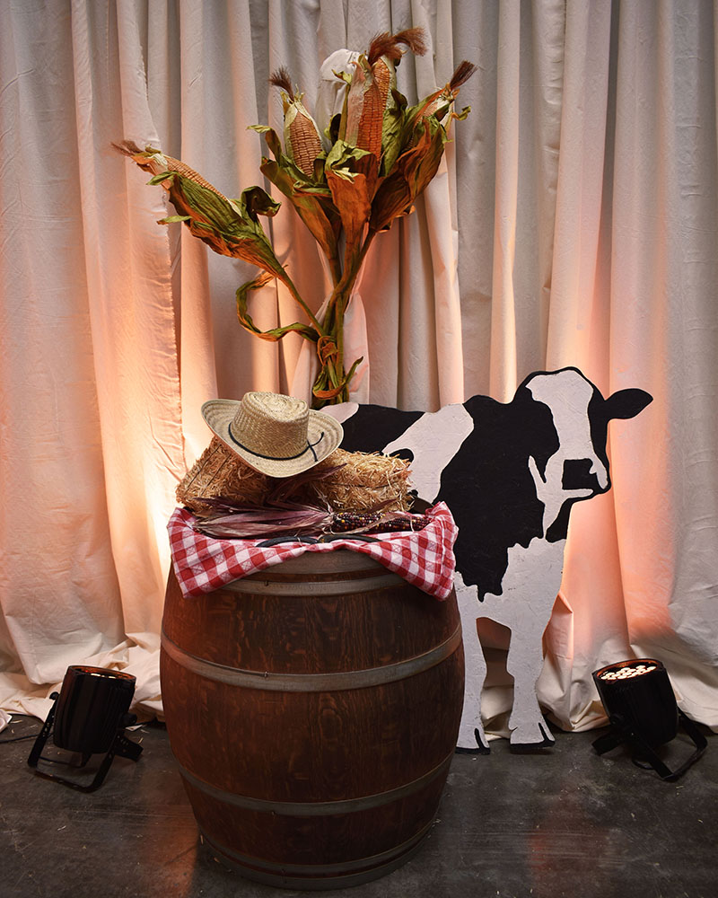 mini hay bale centerpiece  Cowboy centerpieces, Western birthday party,  Cowboy wedding