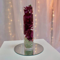 Artificial Orchid Centerpiece - $35 plus tax